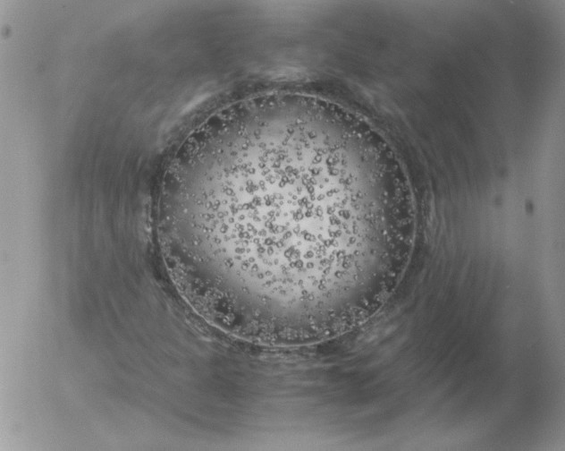 X0000055511301200509022047