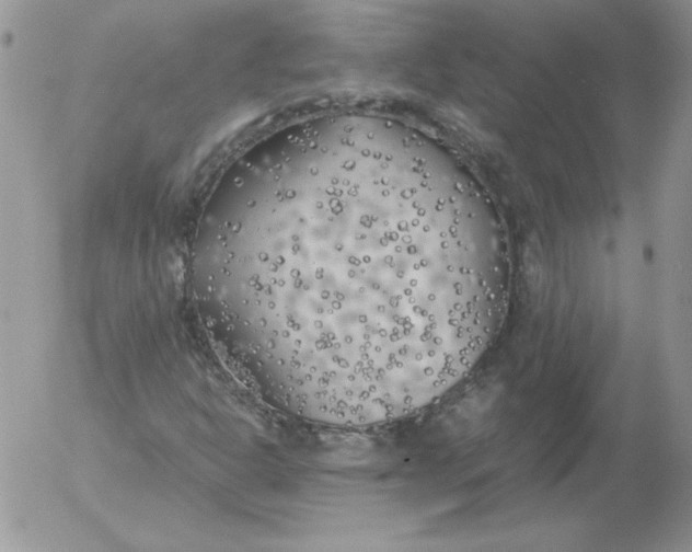 X0000055511302200509022047