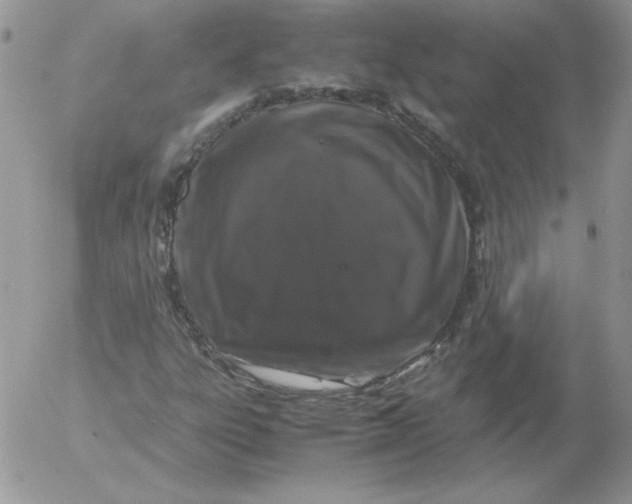 X0000055511303200509022047