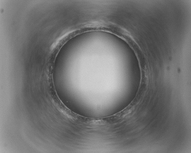 X0000055511304200509022047