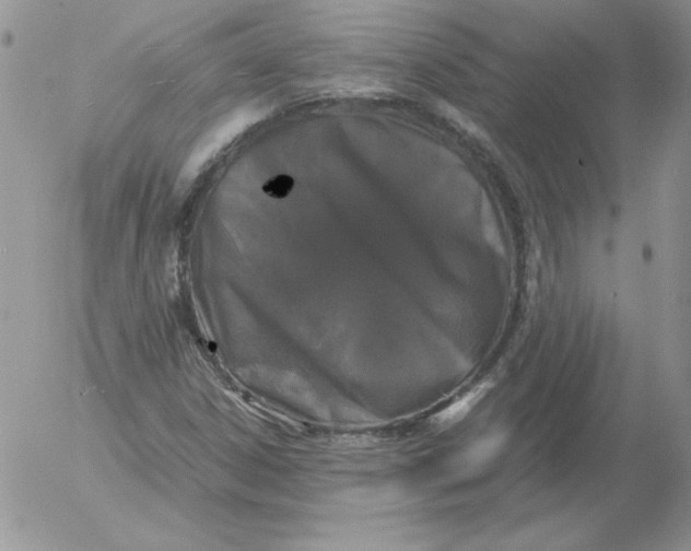 X0000055511306200509022047