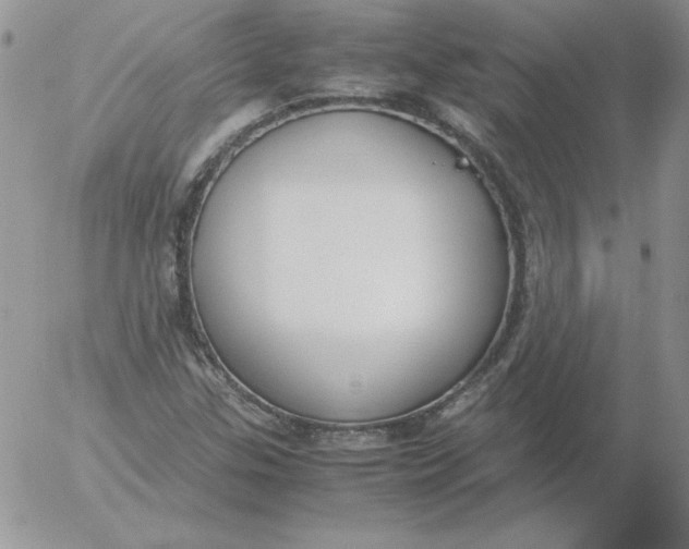 X0000055511307200509022047