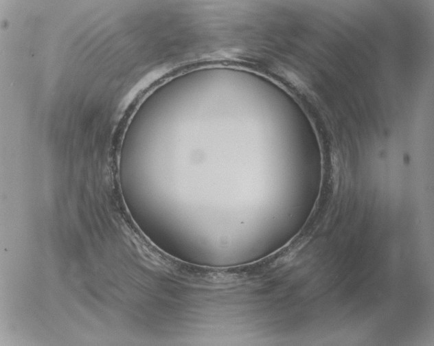 X0000055511308200509022047