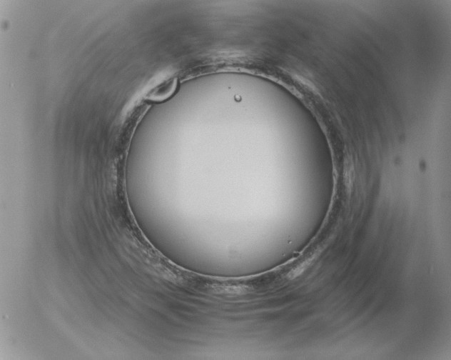 X0000055511309200509022047