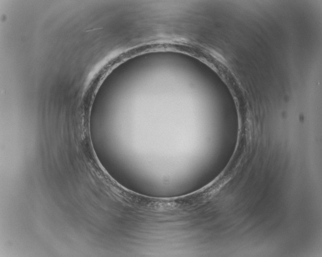 X0000055511310200509022047