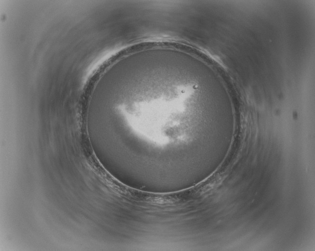 X0000055511311200509022047