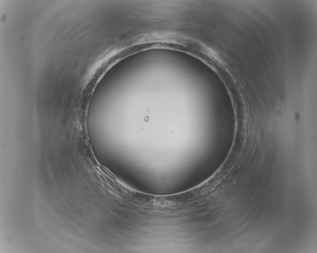 X0000055511312200509022047