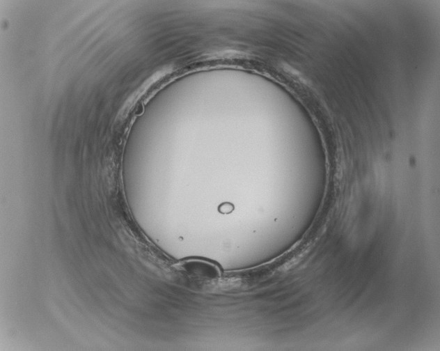 X0000055511313200509022047