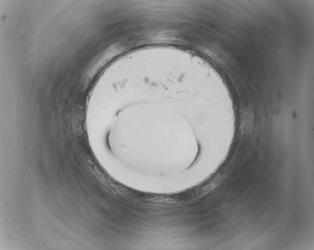 X0000055511314200509022047