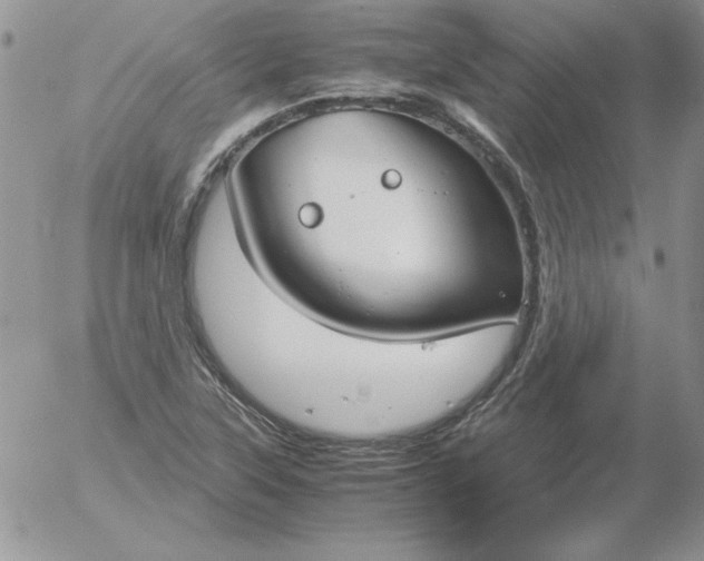 X0000055511315200509022047