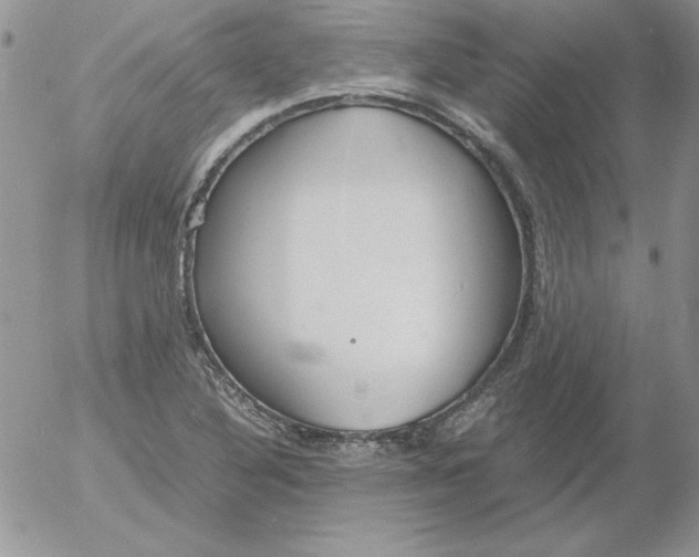 X0000055511316200509022047