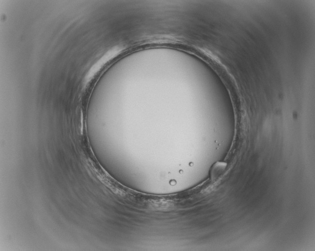 X0000055511317200509022047