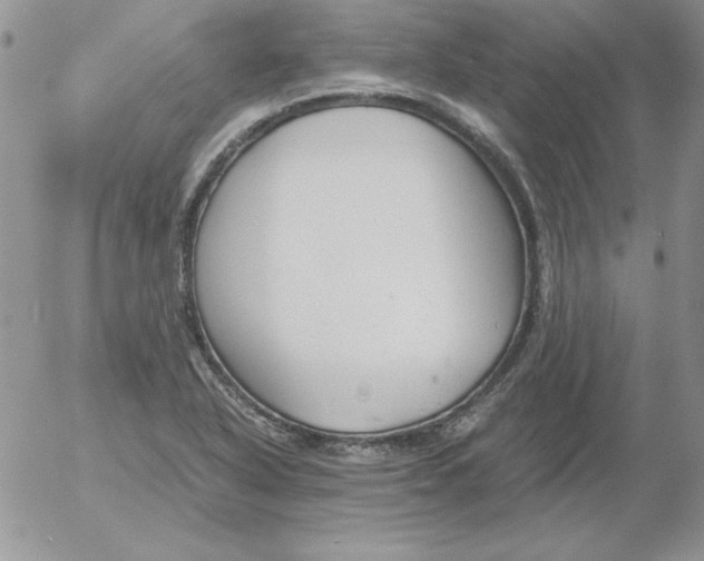 X0000055511318200509022048