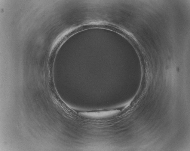 X0000055511319200509022048