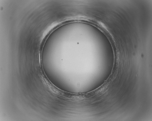 X0000055511320200509022048