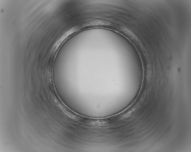 X0000055511321200509022048