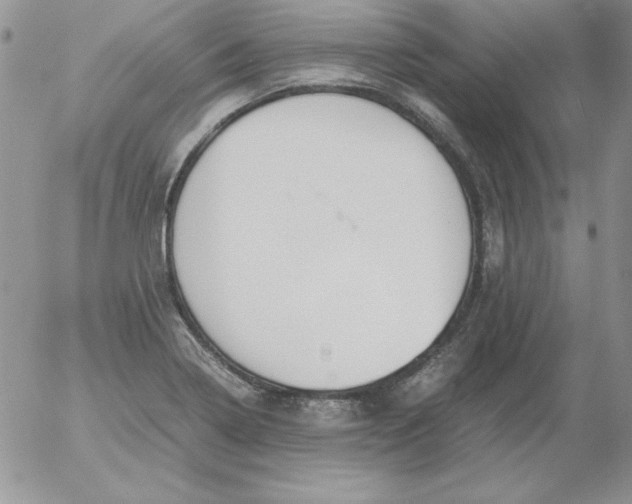 X0000055511322200509022048