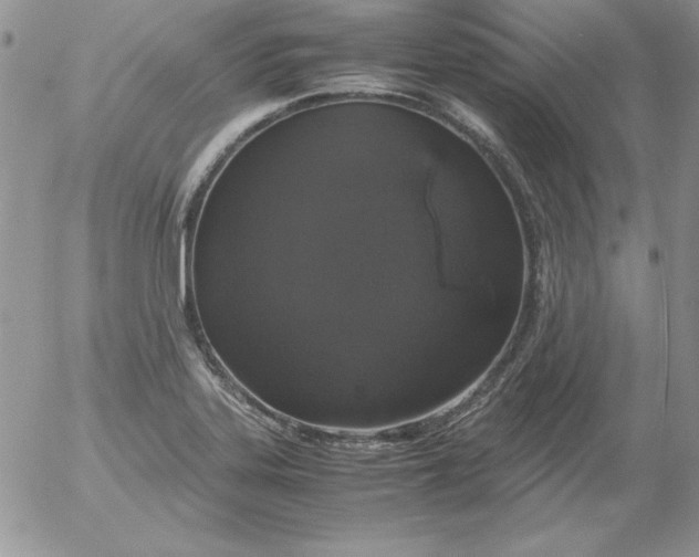 X0000055511323200509022048