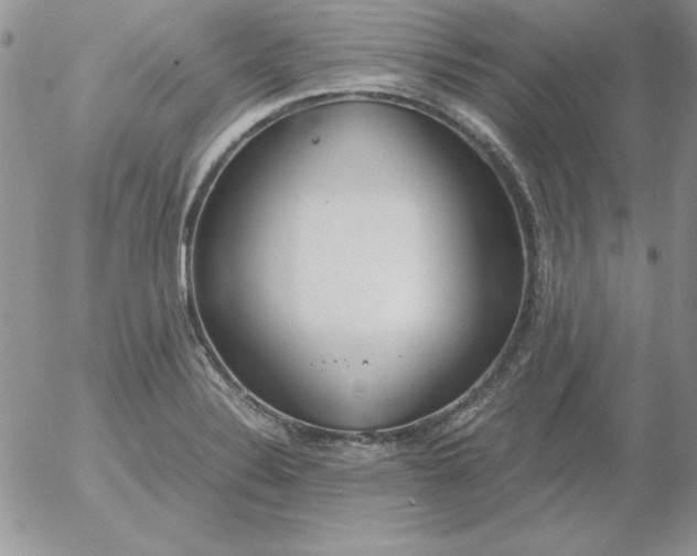 X0000055511324200509022048