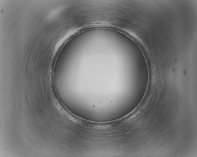 X0000055511325200509022048