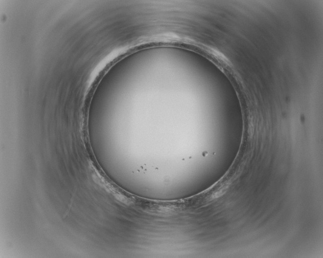 X0000055511326200509022048