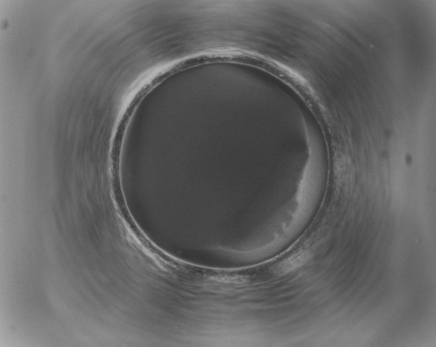 X0000055511327200509022048