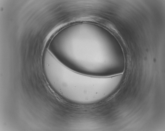 X0000055511328200509022048