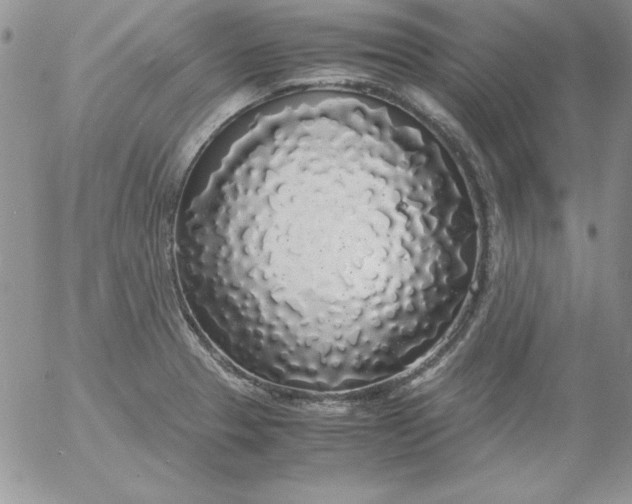 X0000055511329200509022048