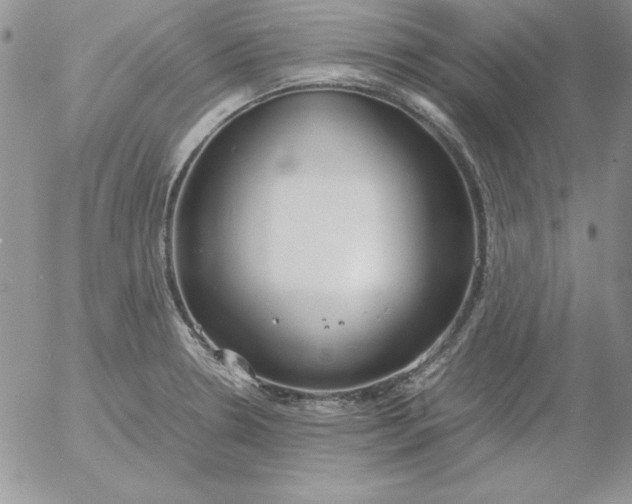 X0000055511330200509022048