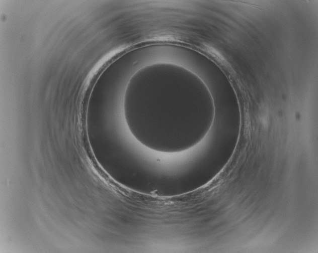 X0000055511331200509022048