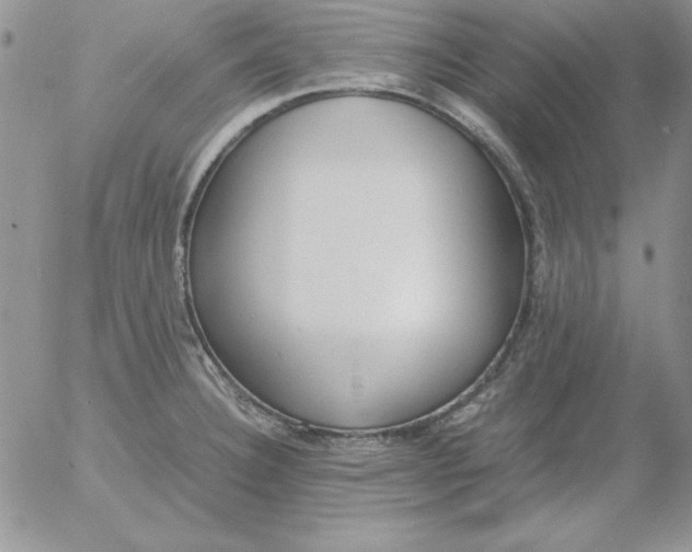 X0000055511332200509022048