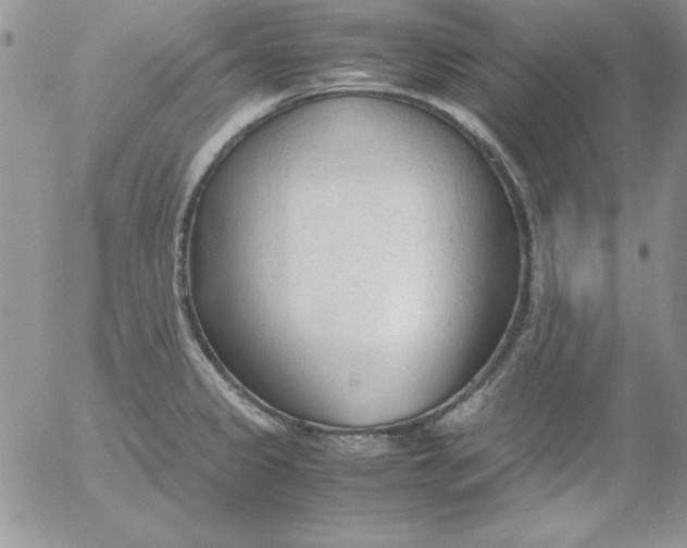 X0000055511333200509022048