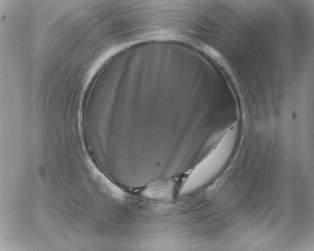 X0000055511334200509022048