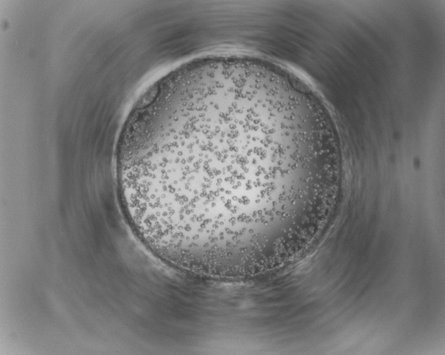 X0000055511335200509022048