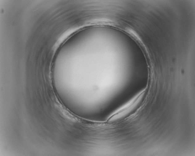 X0000055511336200509022048