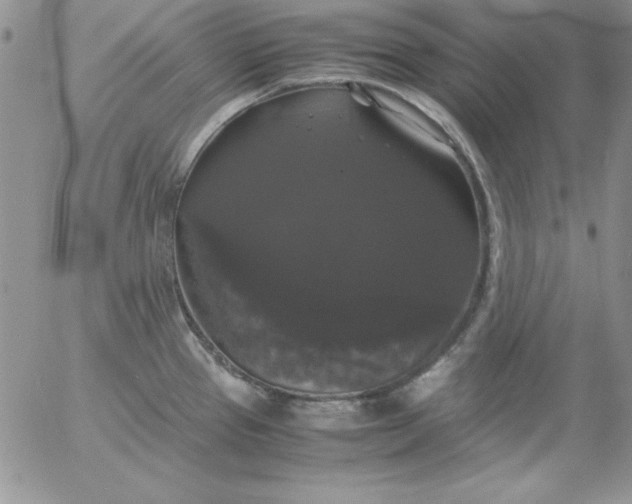 X0000055511337200509022048