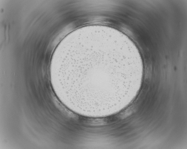 X0000055511338200509022048