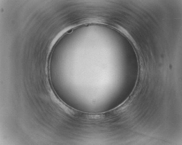 X0000055511339200509022048