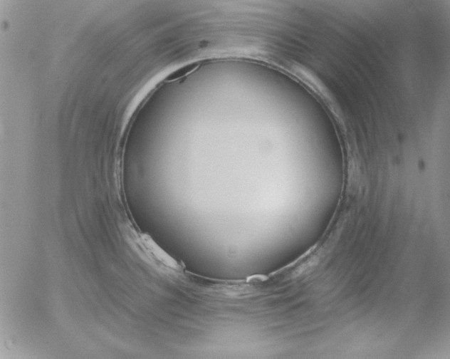 X0000055511340200509022048