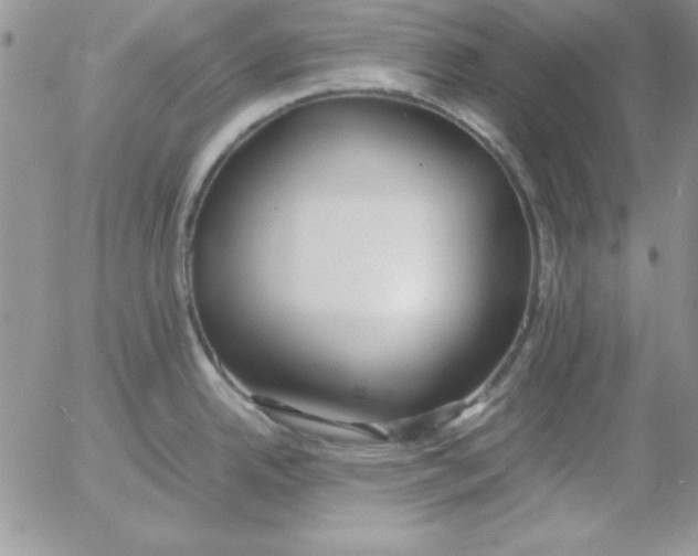 X0000055511342200509022048