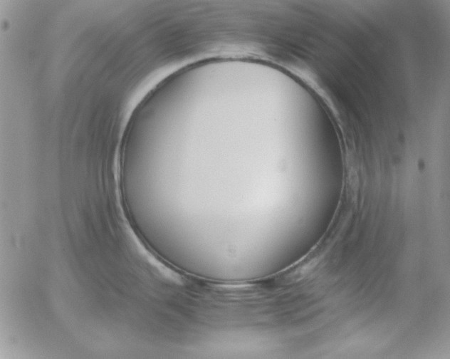 X0000055511343200509022048