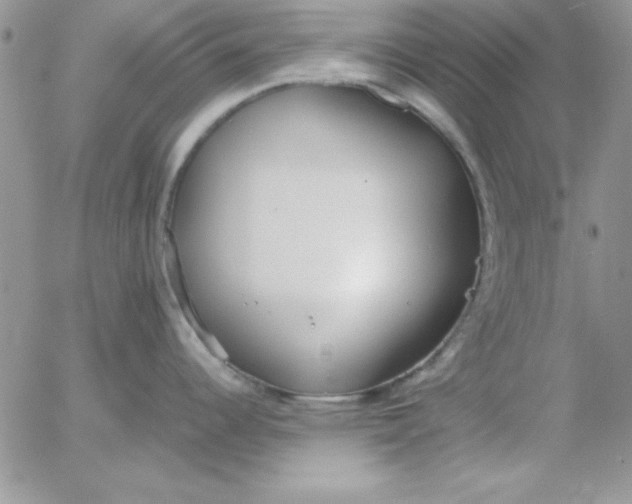 X0000055511344200509022048