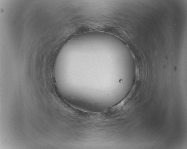 X0000055511345200509022047