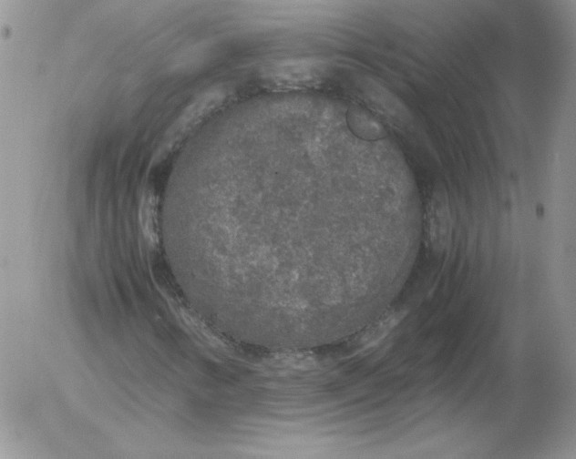 X0000055511346200509022047