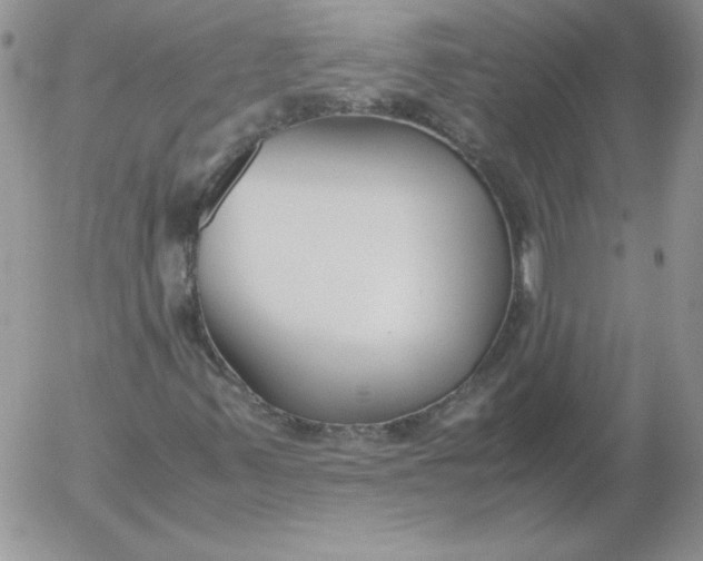 X0000055511347200509022047