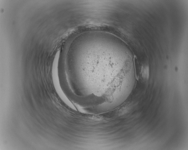 X0000055511348200509022047