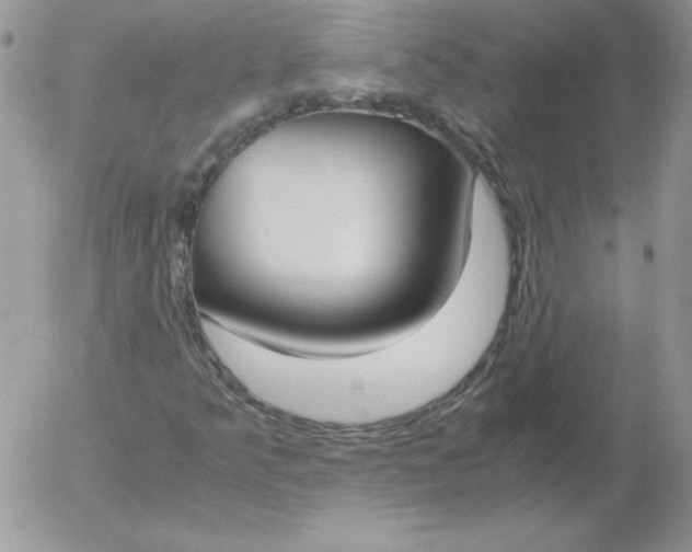 X0000055511349200509022047