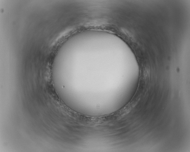 X0000055511350200509022047