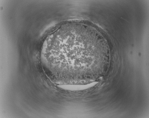 X0000055511351200509022047