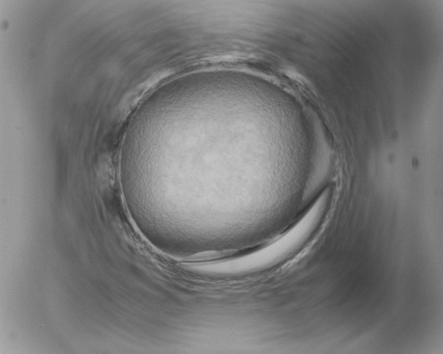 X0000055511353200509022047